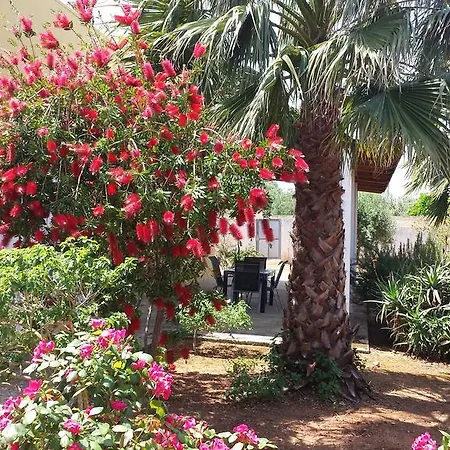 Farm stay Calamate Gallipoli