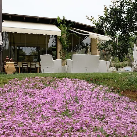 Calamate * Gallipoli