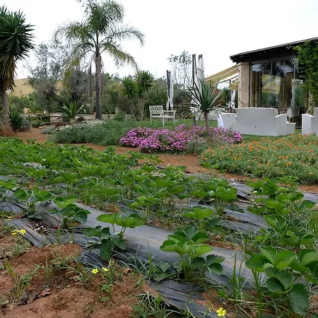 Calamate * Gallipoli