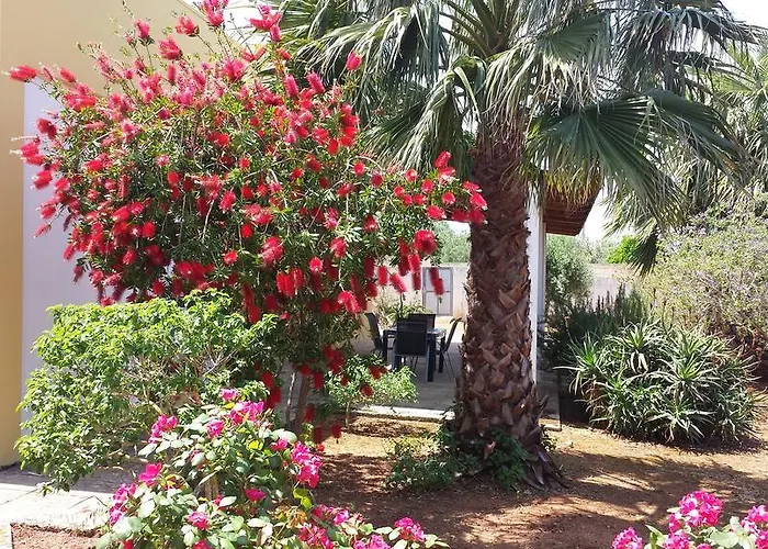 Farm stay Calamate Gallipoli