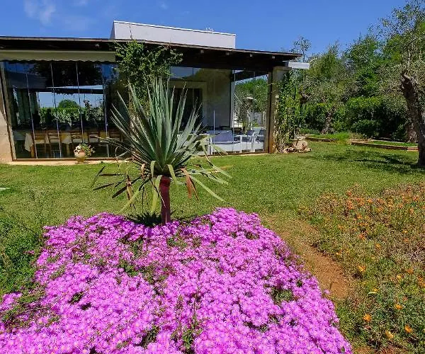 Calamate Farm stay *