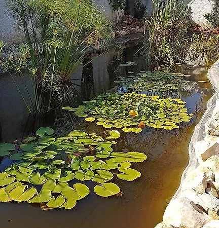 Calamate Çiftlik konaklama *