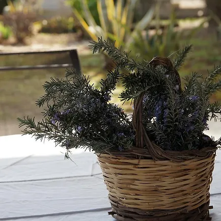 Calamate * Gallipoli