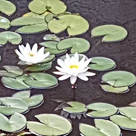 Κατάλυμα σε φάρμα Calamate