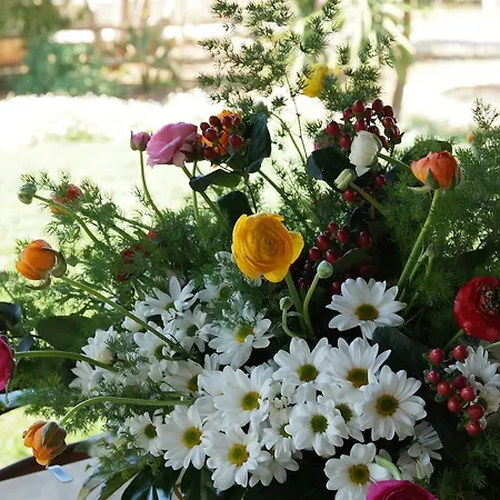 Calamate Κατάλυμα σε φάρμα *