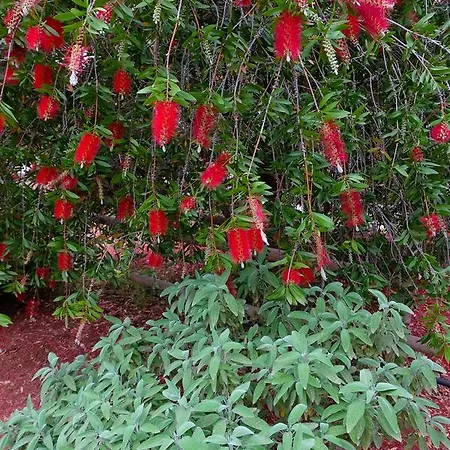 Calamate Κατάλυμα σε φάρμα *