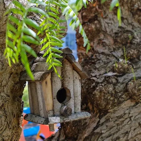 Calamate Κατάλυμα σε φάρμα *