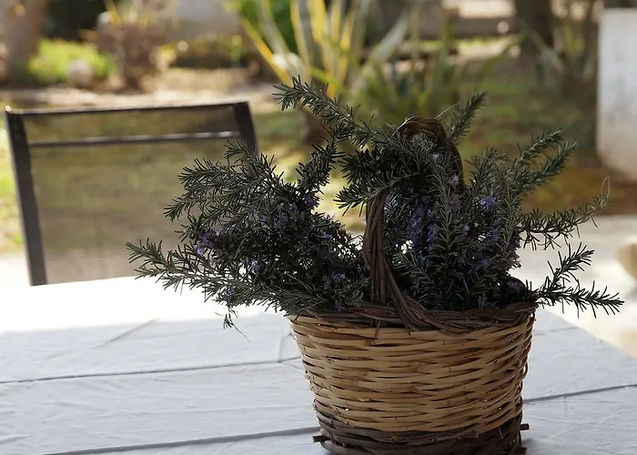 Calamate * Gallipoli