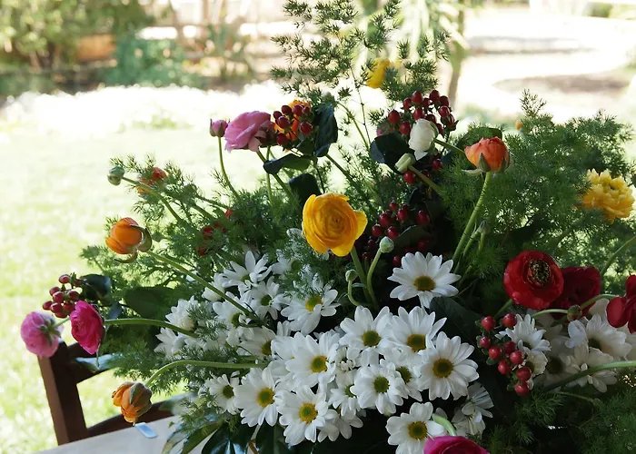 Calamate Feriegård *