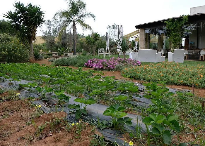 Calamate * Gallipoli