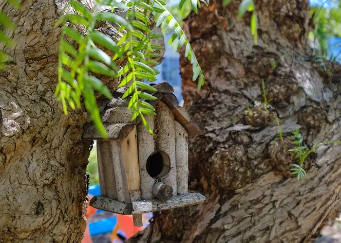 Calamate Feriegård *